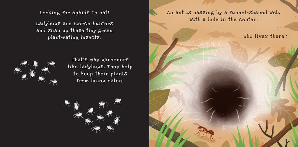 Shine-A-Light, Backyard Bugs