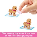 Barbie Pup Adoption Playset