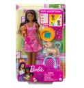 Barbie Pup Adoption Playset AA