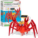 Hybrid Crabot