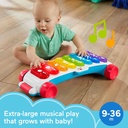 Giant Xylophone