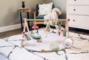 Tiny Love Boho Gymini