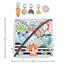 Fisher-Price 3-In-1 Music, Glow And Grow Gym