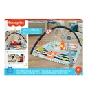 Fisher-Price 3-In-1 Music, Glow And Grow Gym