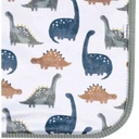 Gerber Dino Time Plush Blanket 