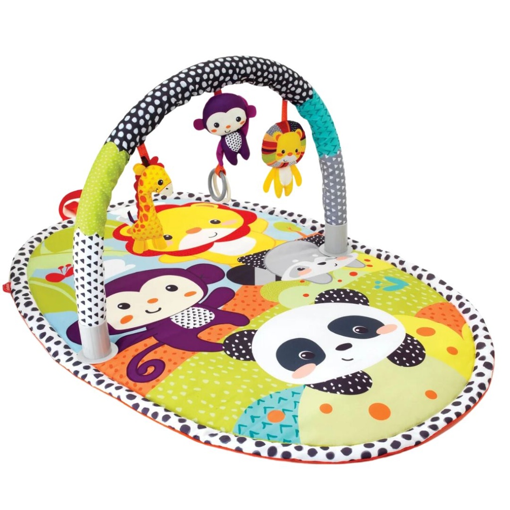 Explore & Store Activity Gym Assortment