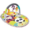 Explore & Store Activity Gym Assortment