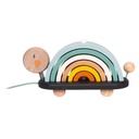 Sweet Cocoon Rainbow Turtle