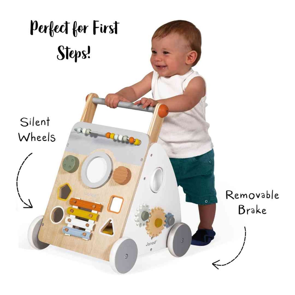 Sweet Cocoon Multi Activity Baby Walker