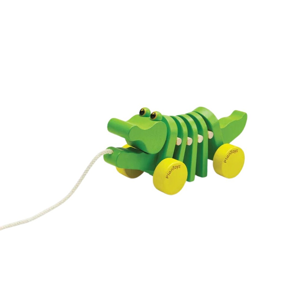 Dancing Alligator