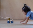 Push & Pull Puppy