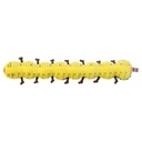 Lamaze Musical Inchworm