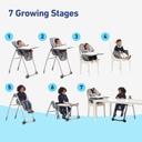 Graco Table2Table  Premier Fold 7-in-1 Highchair Arrows