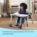 Graco Table2Table  Premier Fold 7-in-1 Highchair Arrows