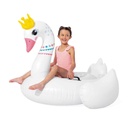 Majestic Swan Ride-On Inflatable Pool Float