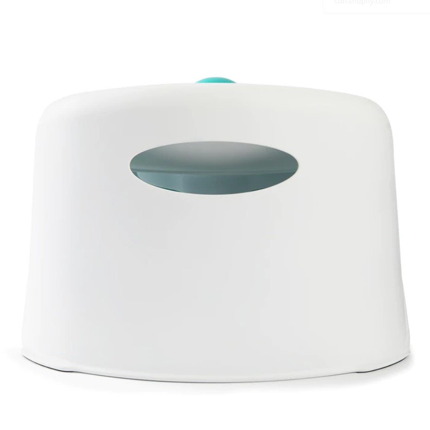 Learn-To-Go Potty