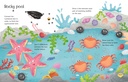 Wipe-Clean Seashore Activities
