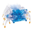 Smithsonian Robo Spider Kit