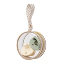Clean & Clear Pacifier Pod