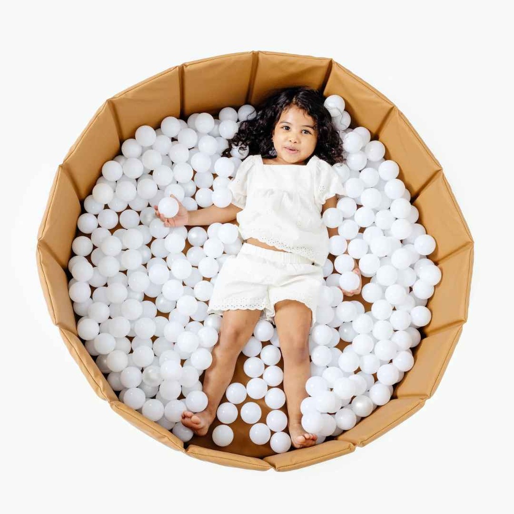 Ball Pit Camel