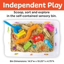 Sensory Bin Beach