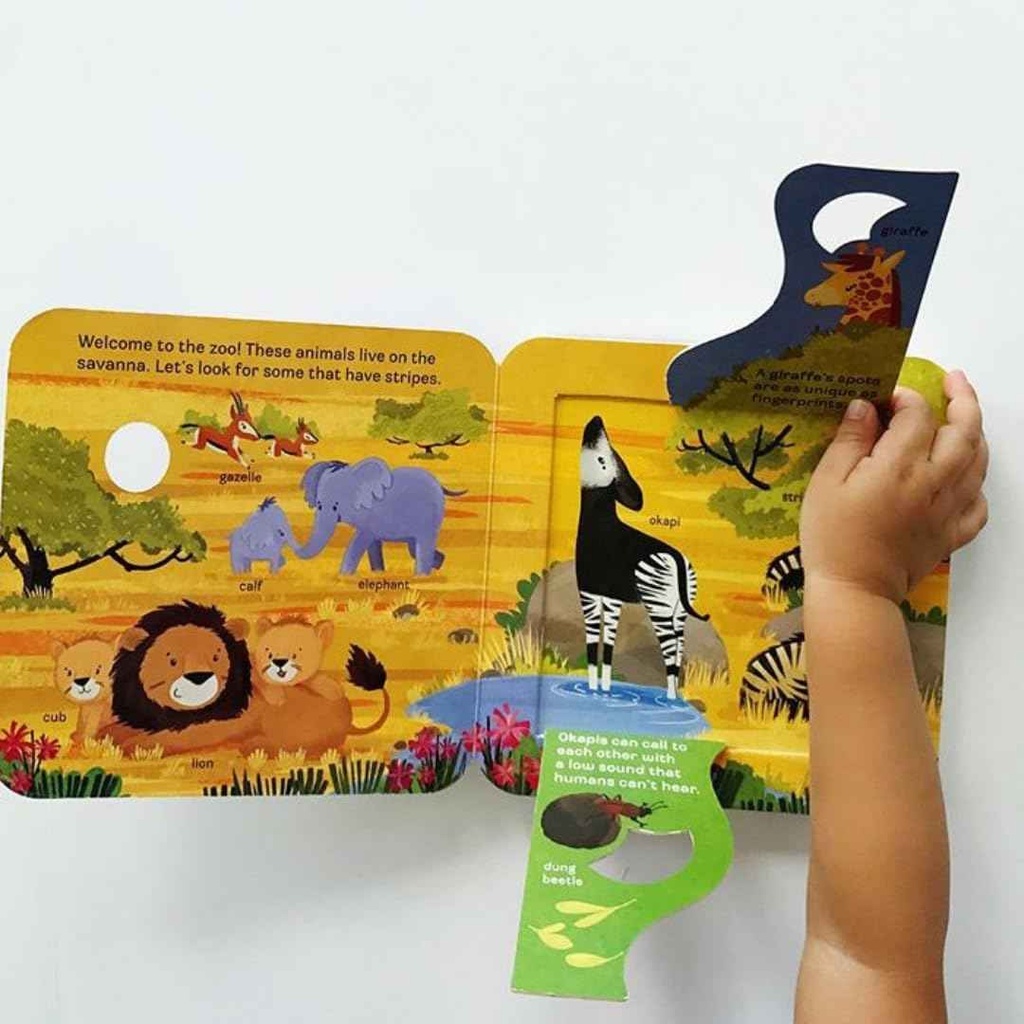 Peek-a-Flap, Zoo