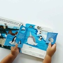 Peek-a-Flap, Zoo