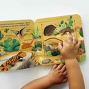 Peek-a-Flap, Zoo