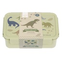 Dinosaurs Bento Box