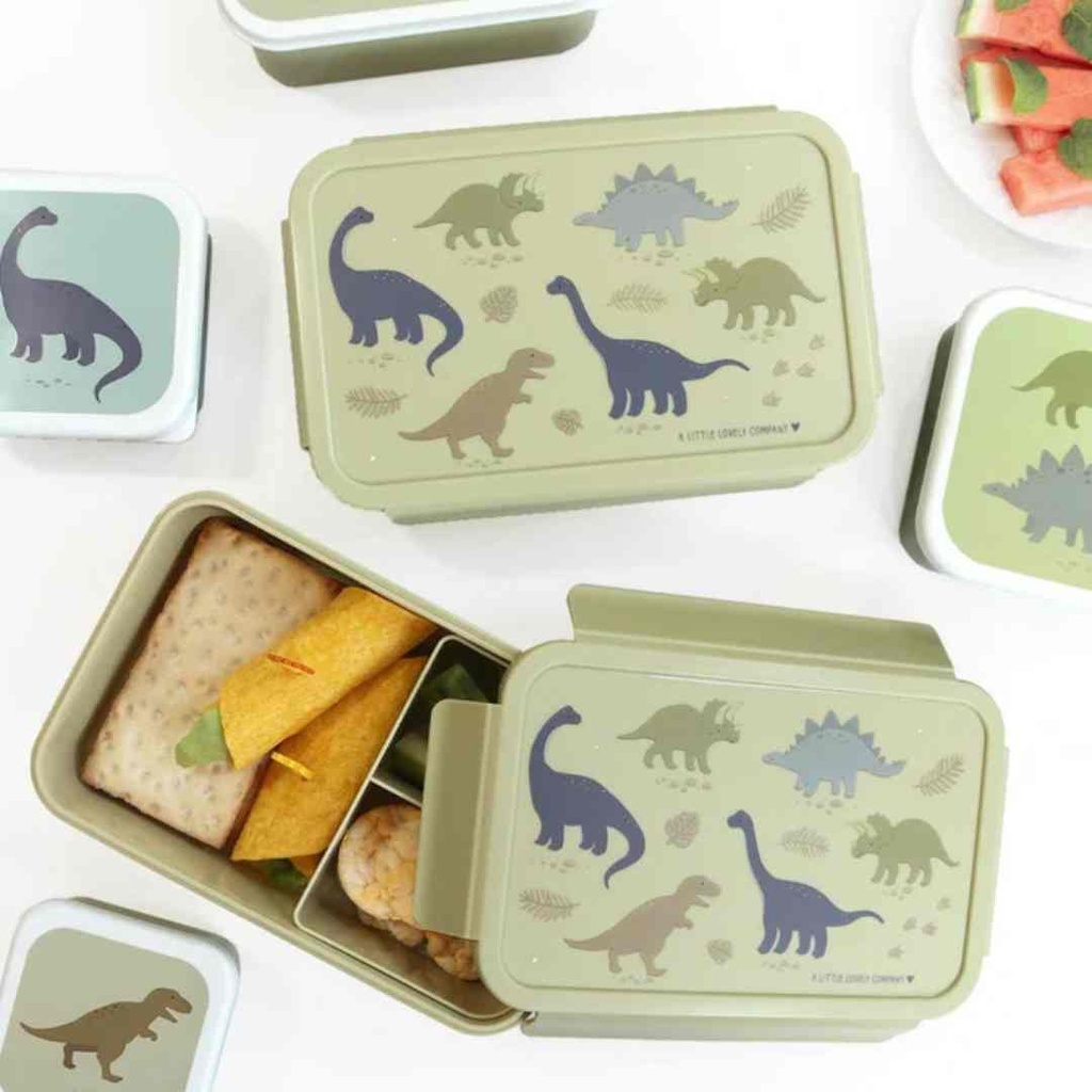 Dinosaurs Bento Box
