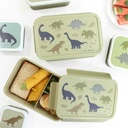 Dinosaurs Bento Box