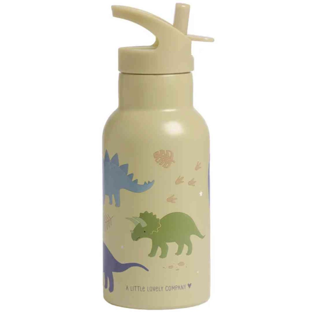 Dinosaurs Stainless Steel Drinking Bottle