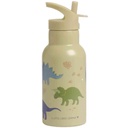 Dinosaurs Stainless Steel Drinking Bottle