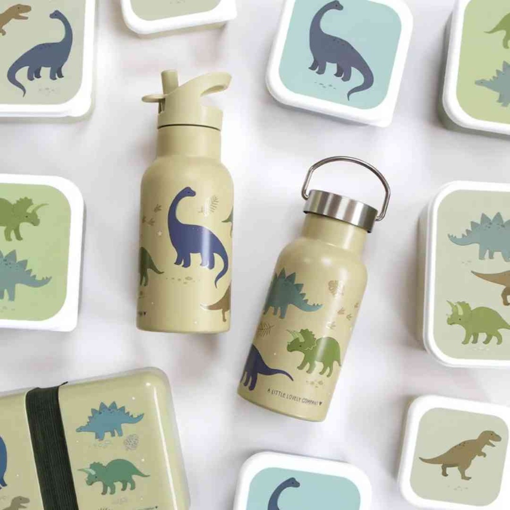 Dinosaurs Stainless Steel Drinking Bottle