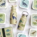 Dinosaurs Stainless Steel Drinking Bottle