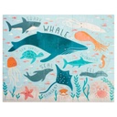 Canister Puzzle Sea Life