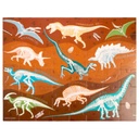 Canister Puzzle Fossil