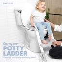 Jool Baby Potty Ladder Gray