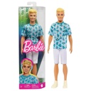 Barbie Ken Fashionista Asst