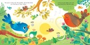 Garden Sounds