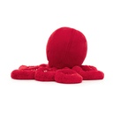 Cranberry Ocotopus Little