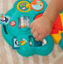 Animal Friends Discovery Assortment