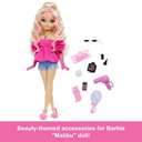 Barbie Dream Besties Assortment