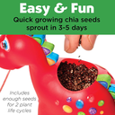 Self-Watering Plant Pet Dinosaur