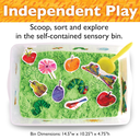 The Very Hungry Caterpillar Sensory Bin