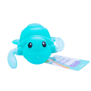 Wind Up Turtle