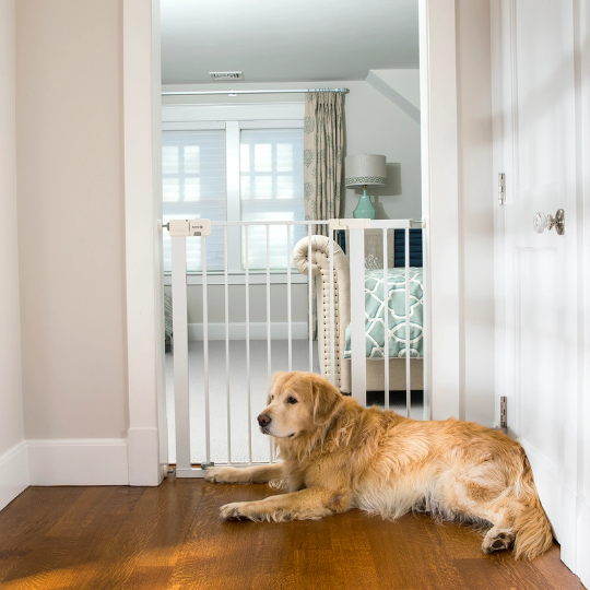 Safety 1st Easy Install Tall & Wide Gate with Wall Cups White