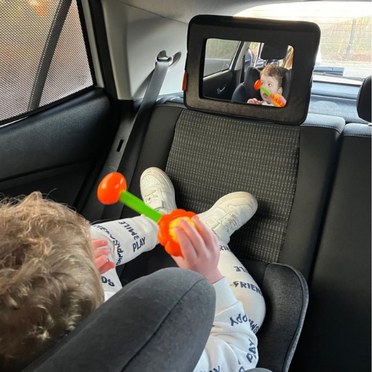 Backseat Mirror
