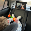 Backseat Mirror