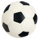Sport Rebound Ball